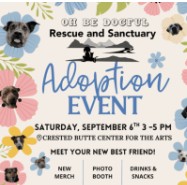 oh be dogful pet rescue crested butte